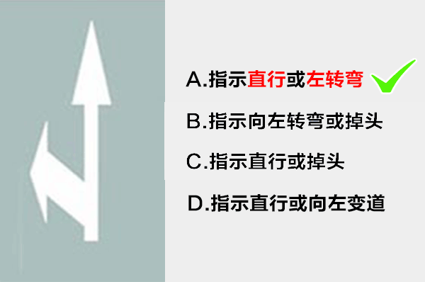 科目一技巧答题软件